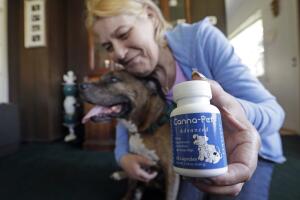 Marijuana to Hemp CBD Boom