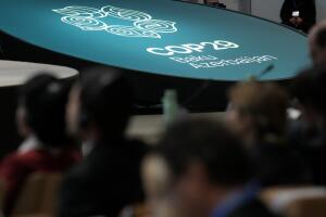 COP29 Climate Summit