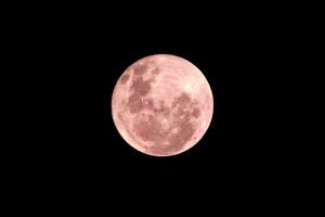 luna rosa.jpg