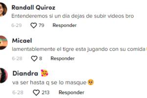 Reacciones al 'Tarzán moderno' nadando con un tigre