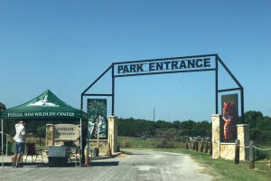 FOSSIL RIM 1.jpeg