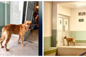 BeFunky-collage (16) (1).jpg