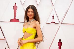 93rd Annual Academy Awards - Arrivals