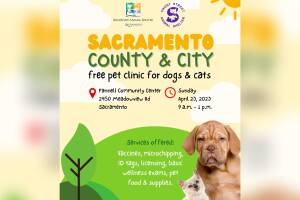 clinica mascotas.jpg