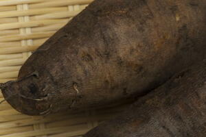 yacon-emagrece-2.jpg