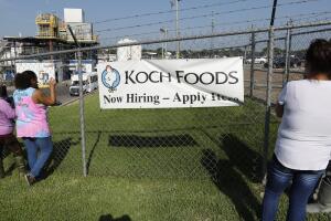 Immigration Food Plant Raids