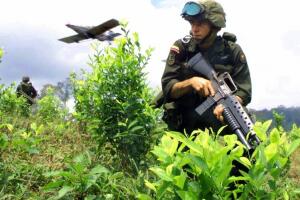 coca eradication.jpg