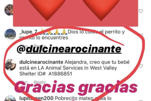 Image from iOS (66).png