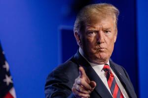 Stable genius