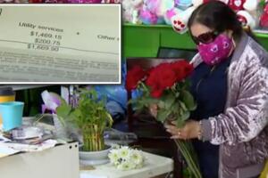 estafa Edison California