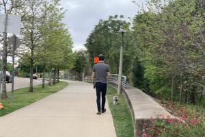 PERROS GALERIA/1-PERRO.jpg