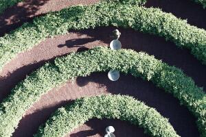 Un parque a prueba de contagios