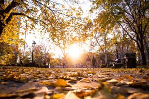 Filadelfia en durante la temporada de otoño 