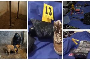 BeFunky-collage (19) (1).jpg