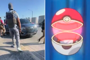 videos de la semana.png