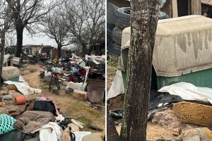 rescatan 30 perros malas condiciones Condado Atascosa Patricia Stone Texas