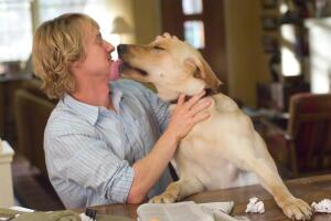 marley-y-yo-owen-wilson.jpg