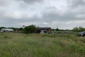 perros sujeto/perrros 7.jpg