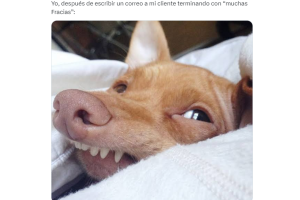 memes-correos-godinez.png