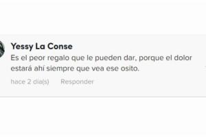 Usuarios de TikTok lloran por el video del hombre que recibió un osito con la voz de su esposa muerta 3.jpg