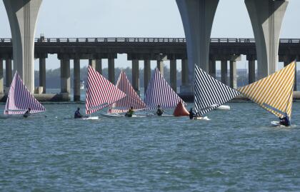 Sailboats race during a performance art installation by artist Daniel Buren titled Voile/Toile-Toile/Voile, during Miami Art Week Monday, Dec. 2, 2024, at PortMiami in Miami. (AP Photo/Lynne Sladky)