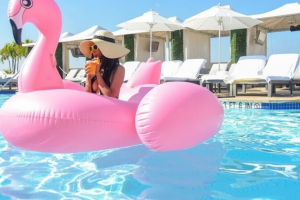 Hotel Coconut Grove