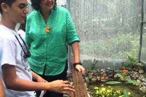 Inauguran mariposario en Puerto Rico