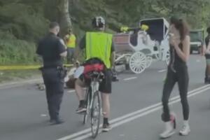 Caballo de carruaje colapsa y muere durante paseo en Central Park; piden prohibirlos en NYC.