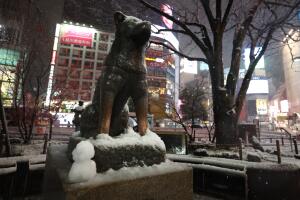 Hachiko tiene su estatua en Japón, la cual es visitada por millones de turistas cada año.