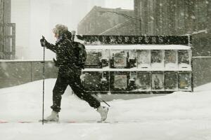 Nevada en Chicago en 2011.