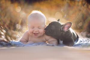 bebe-bulldog-irmaos-1.jpg