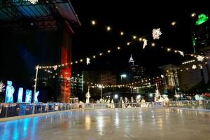 the rink1.jpg