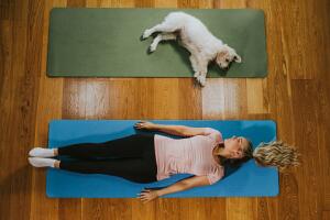 Perro hace yoga junto a su dueña y se convierte en un fenómeno viral