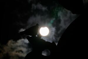 South Africa Solar Eclipse