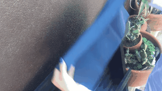 gifit_1474375934832.gif
