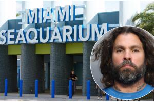 Arrestan grafitero Adam Vargas acusado pintar aerosol Miami Seaquarium