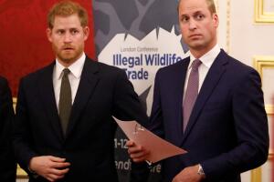 The Duke Of Cambridge Attends The 2018 Illegal Wildlife Trade Conference