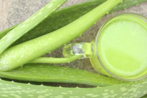 dieta-aloe-vera-emagrecer-2.jpg
