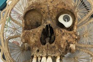 Goodyear Police Department:Twitte2r.jpeg