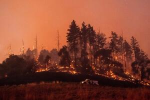 Kincade fire sonoma.jpg