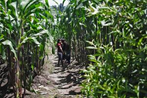 GUATEMALA-US-MIGRATION-CHILDREN-DEATH