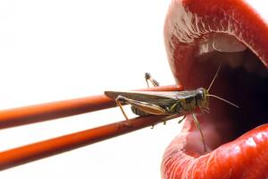 Beneficios-de-comer-insectos-1.jpg