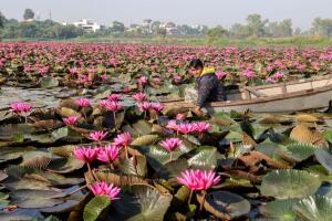TOPSHOT-INDIA-RELIGION-FESTIVAL-AGRICULTURE