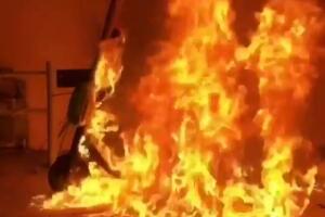 ¿Porque están destruyen los Scooters eléctricos ‘Bird’ en California?