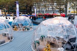 Qué hacer en Nueva York con niños, gratis - Disfruta entre iglús