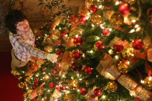 arbol-navidad (1).png