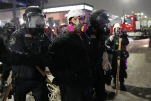 Immigration Enforcement Minnesota