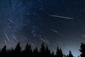 Lluvia de meteoritos en Nueva York esta noche: mejor horario para ver las Perseidas.