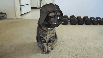 2beb8671-9054-414d-8d0e-b012c47acb56.gif