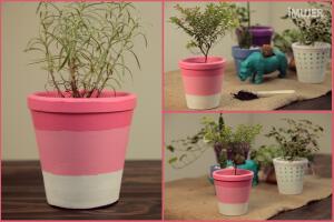 decorar-una-maceta-_6568a.jpg